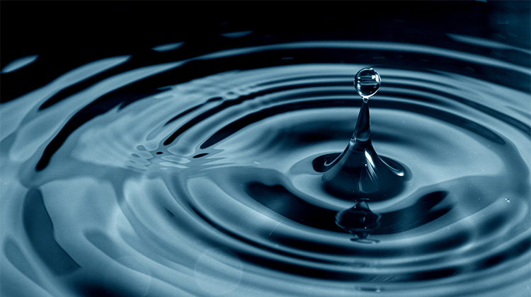 The Ripple Effect: Amplifying the Message of
The Coming Golden Age
