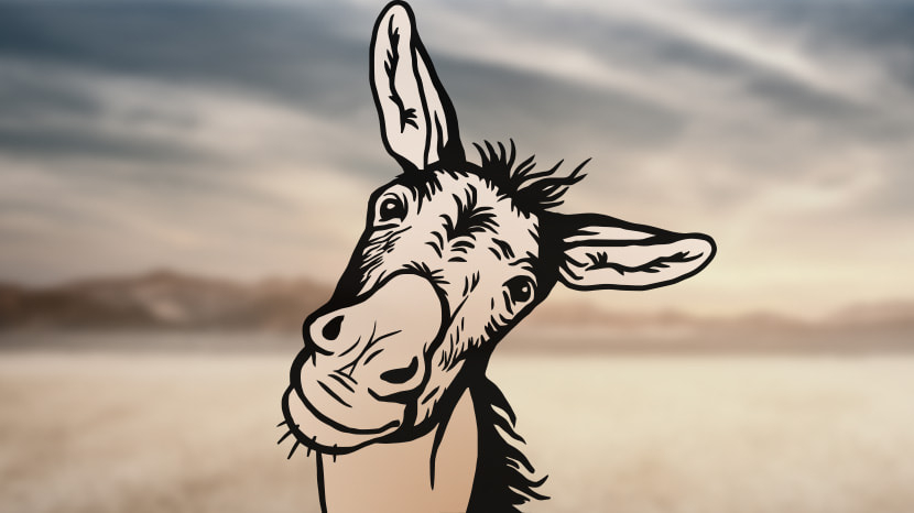 A Talking Donkey... and Other Unlikely Beasts