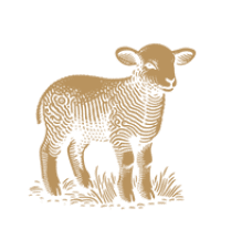 A brown and white striped object is shown in a close up view. AI generated content