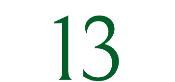 13