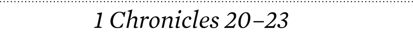 1 Chronicles 20–23