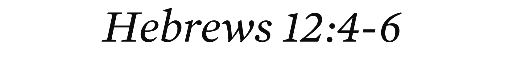 Hebrews 12:4 6