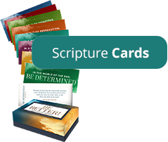 Scripture Cards