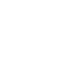 Traditional Media