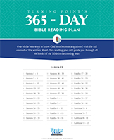 FREE: 365-Day Bible Reading Plan