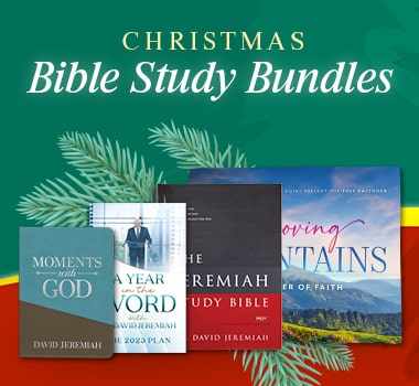 Christmas Bible Study Bundles