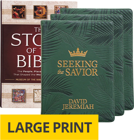 The Story of the Bible Large Print Devotional Set