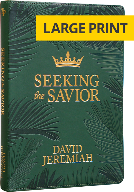 Seeking the Savior Large Print
