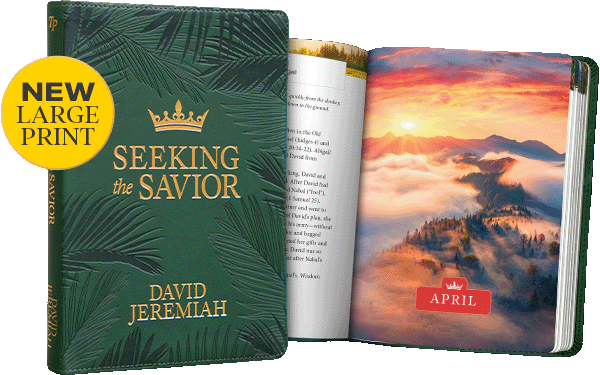 Seeking the Savior: 2027 Daily Devotional