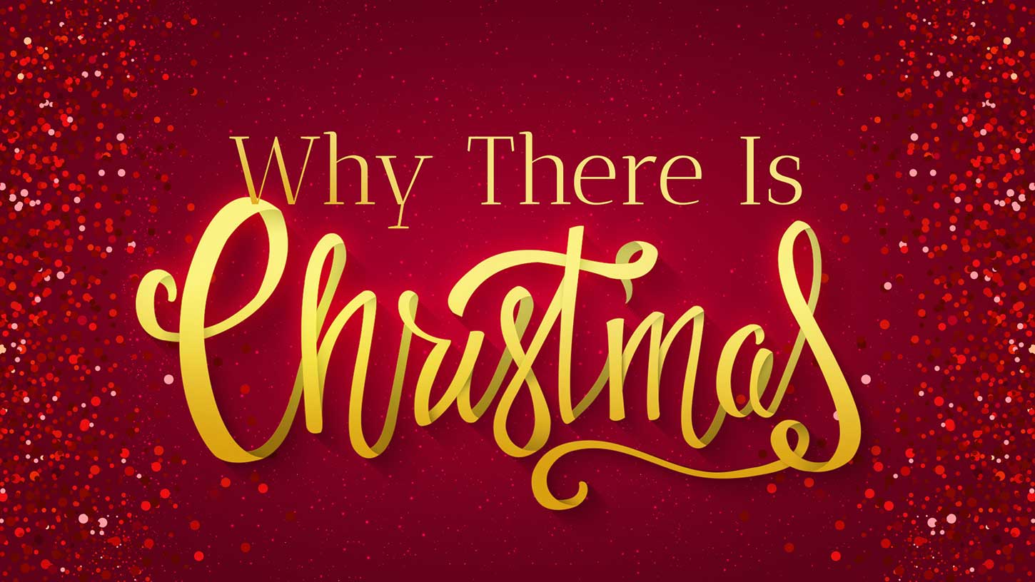 The Reason for the Season The Reason for the Season