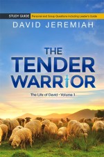 The Tender Warrior - Volume 1 