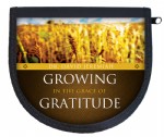 Growing in the Grace of Gratitude 