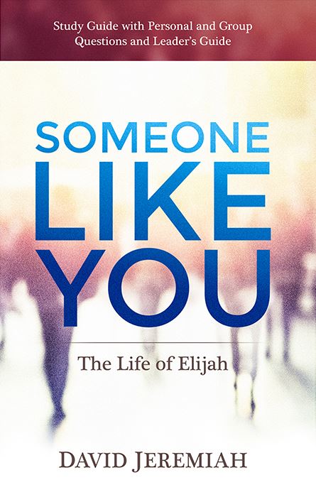 Someone Like You (study guide)