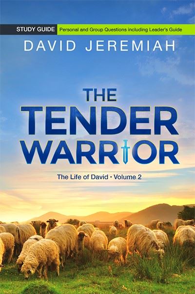 The Tender Warrior - Volume 2 