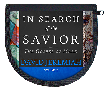 In Search of the Savior Vol. 2 