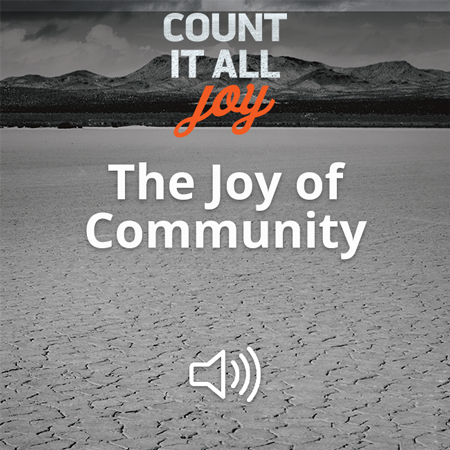 The Joy of Community Image
