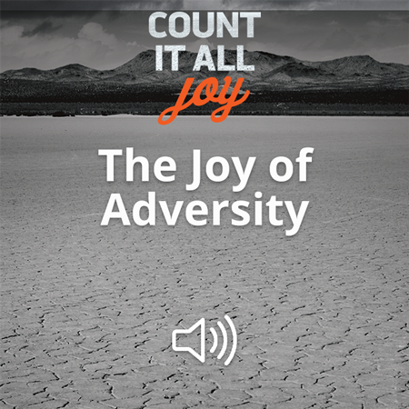 The Joy of Adversity Image