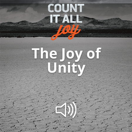 The Joy of Unity Image