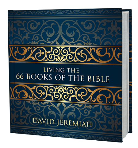 Living the 66 Books of the Bible (Hardcover Book)