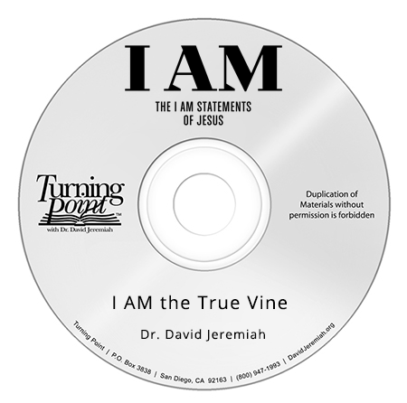 I AM the True Vine Image