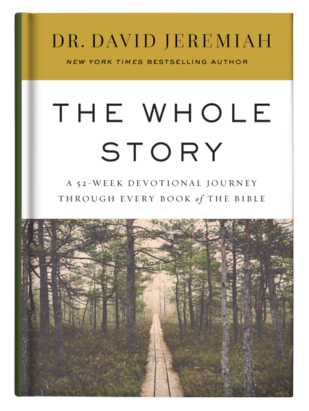 The Whole Story Hardback Devotional Book Image