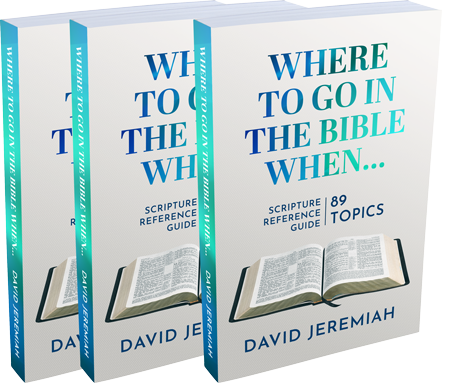 3-Pack of Where to Go in the Bible When… Image