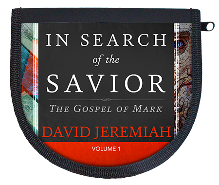 In Search of The Savior Vol. 1