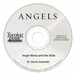 Angel Mania and the Bible Image