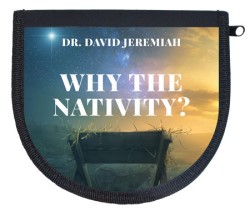 Why the Nativity?  Image
