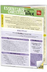 Essentials of the Christian Walk Image