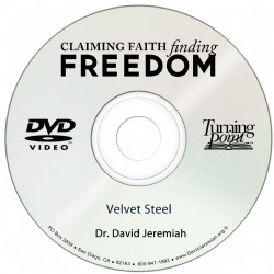 Velvet Steel Image