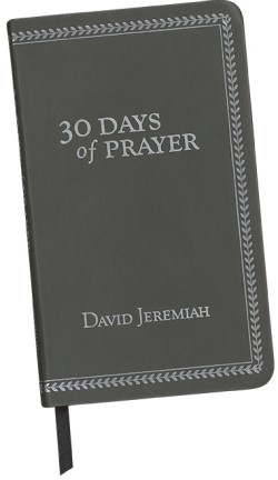 30 Days of Prayer Image