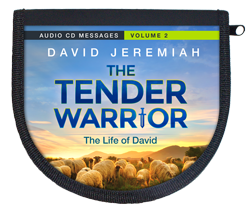 The Tender Warrior - Vol. 2  Image