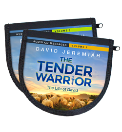 The Tender Warrior - Vol .1-2 Image