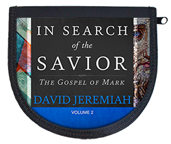 In Search of the Savior Vol. 2  Image