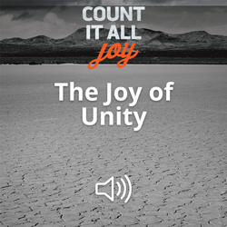 The Joy of Unity Image