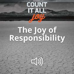 The Joy of Responsibility Image