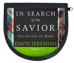 In Search of the Savior - Vol. 3  Image