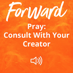 Pray: Consult with Your Creator Image