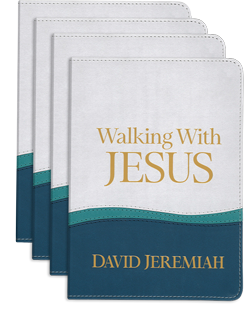 Walking With Jesus Image
