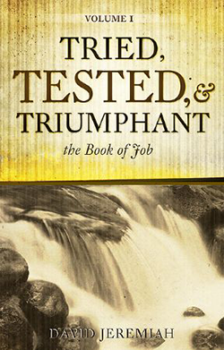 Tried, Tested & Triumphant - Volume 1 Image