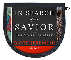 In Search of The Savior Vol. 1 Image