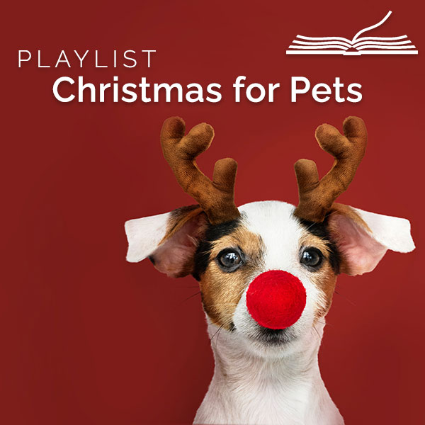 Christmas for Pets