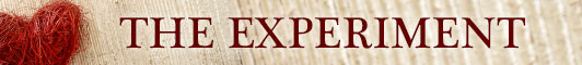 The Experiment