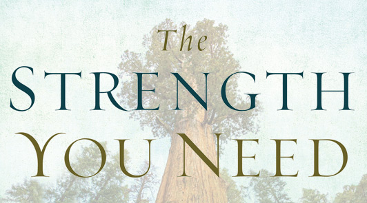 The Strength You Need The Strength You Need